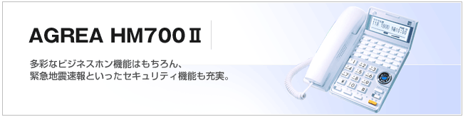 あらゆる機能・サービスをオールインワンで提供、レバンシオ