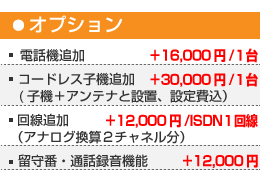 岩通ビジネスホンオプション価格